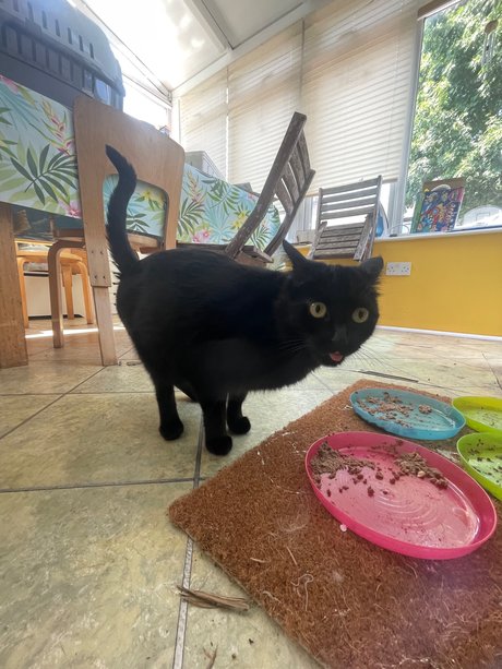 Marquis J only fans pic