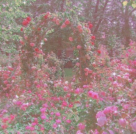 Goddess Miki onlyfans nude tits