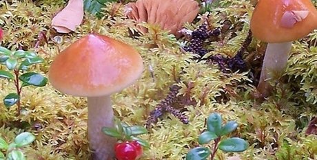 aurora jade naked on onlyfans