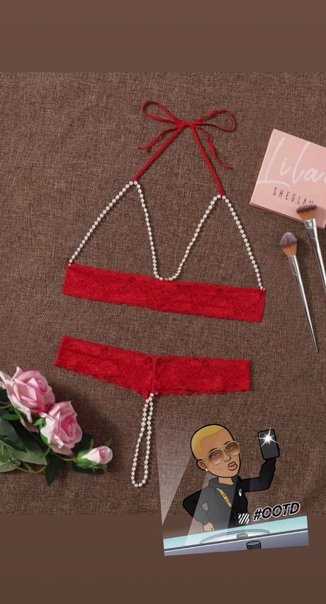 Sea mammal onlyfans free content