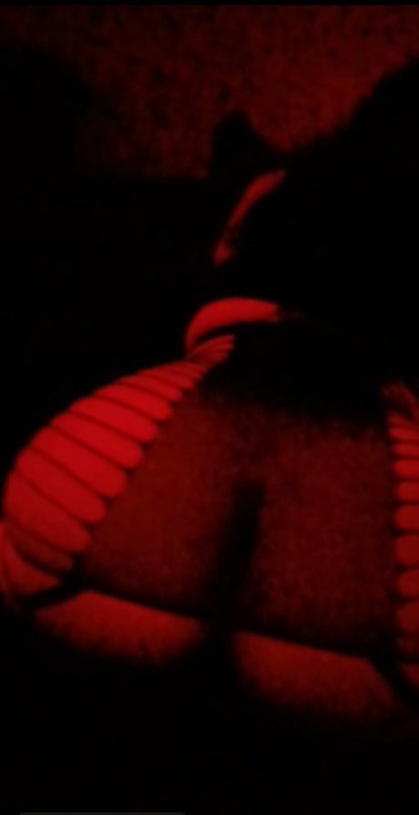 Cella_ onlyfans leak xxx