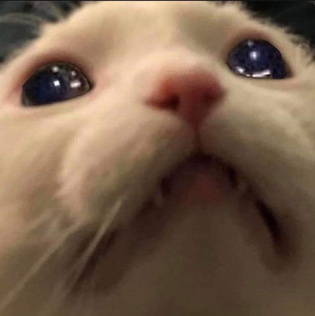 Sam Salemm onlyfans leajs