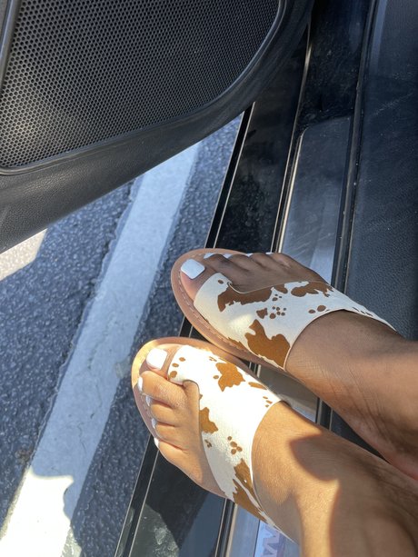 southernbelles nude onlyfans porn