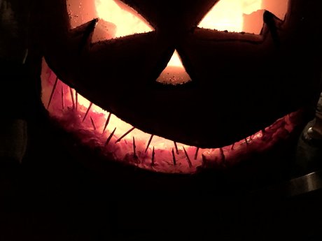 NoahDyck porn onlyfans leaks