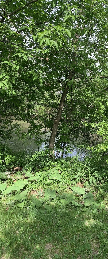 Wont onlyfans model photo