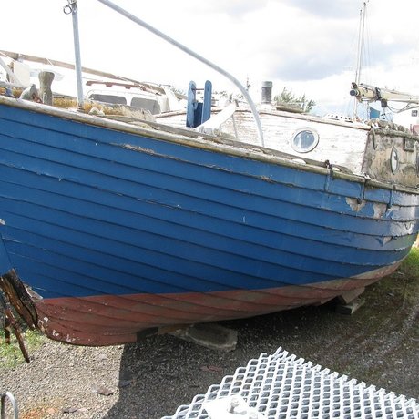 AlcyoneTheSeaking onlyfans sex leaks