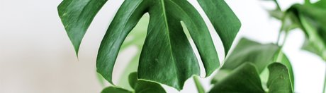 Sweet Peach 7 9_ onlyfans leams