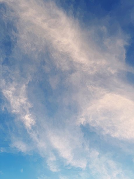 Mauricio Davila onlyfans nude leaked