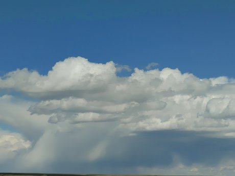 7 Cats onlyfans leaks