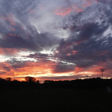 Oakland Lavender porn onlyfans