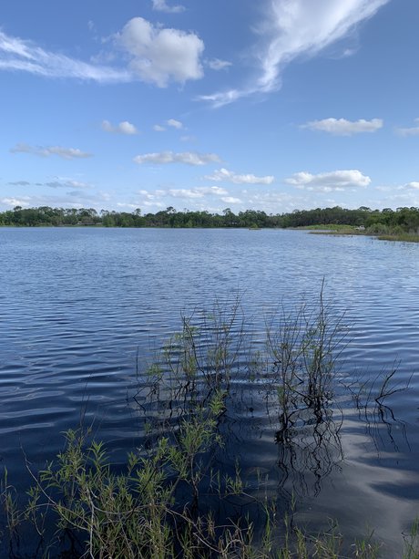 Puppy Mills new onlyfans leaks