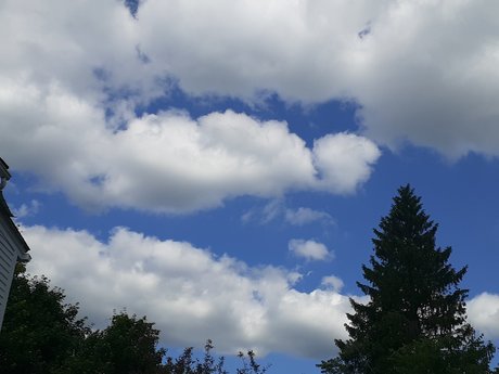 Kingler only fans pictures