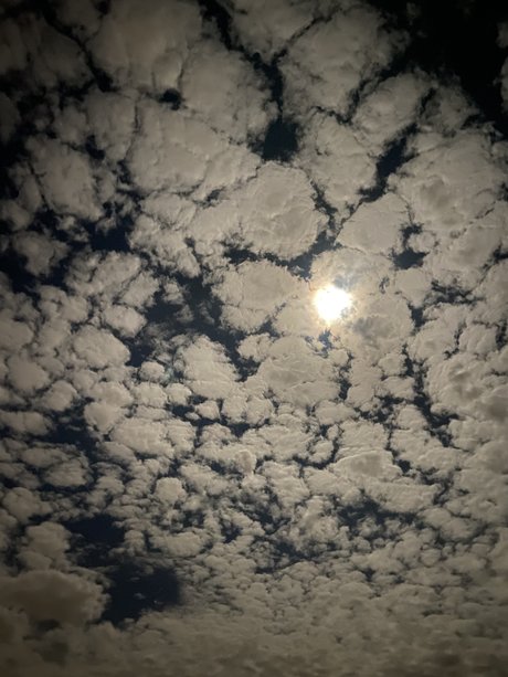 MiSexy onlyfans leak nudes