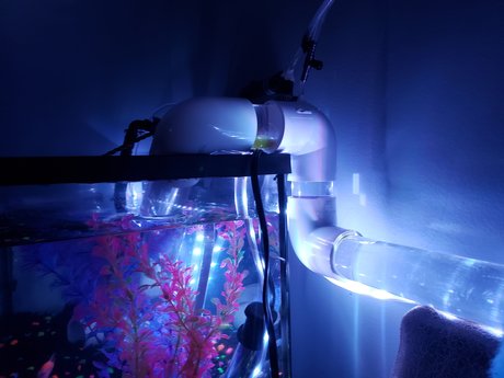 OnlyFishFans only fans leaked