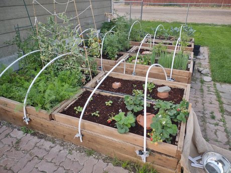 FleshyCuke naked onlyfans leaks