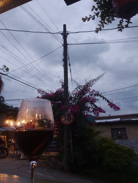 Nico Fox onlyfans model