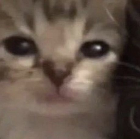 kepega onlyfans content