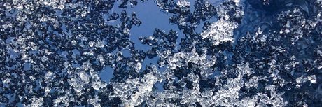 HungHomie sextape onlyfans