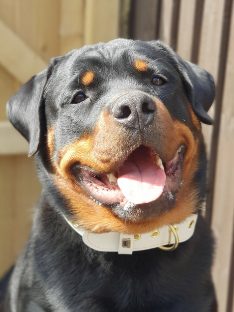 Silkin Day xxx onlyfans