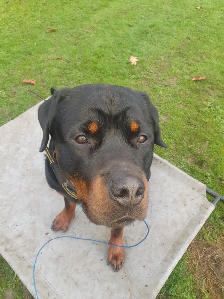 Silkin Day onlyfans pics leaked