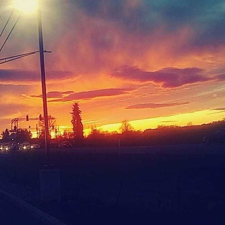 Rose Sanchez sexy onlyfans