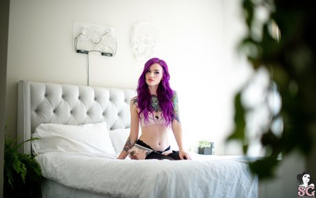 Velvetine SG onlyfans archive