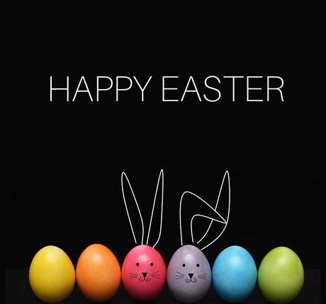 anastasiagoeswild Profile pic