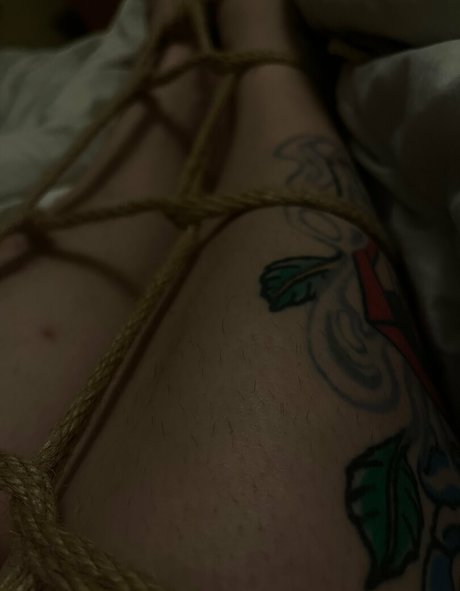 dammdenver onlyfans leak