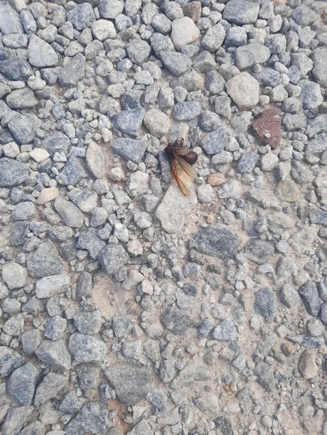 Desativado onlyfans public photos