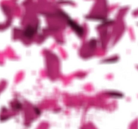 Girlsrimming onlyfans archives