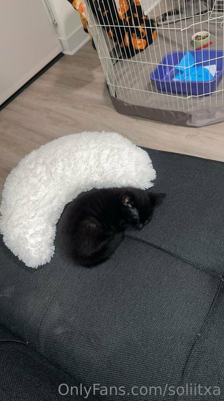 soliitxa onlyfans porn