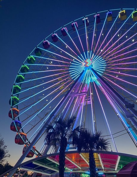 queen of spades Profile pic