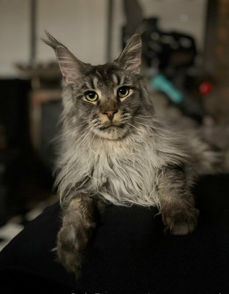 sperry69 new onlyfans leak