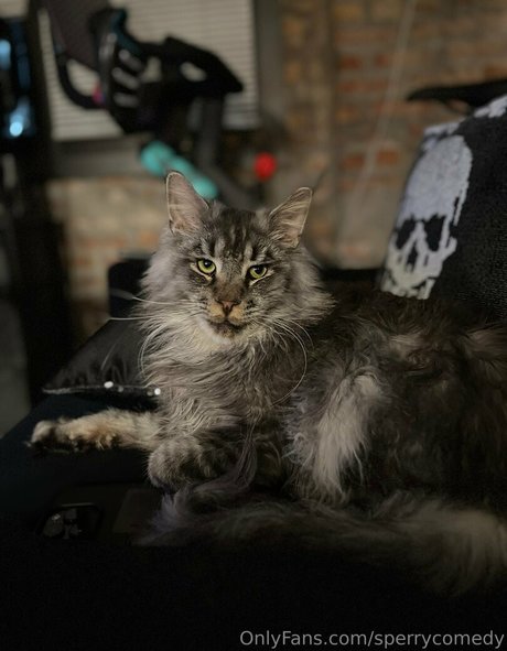 sperry69 leaked onlyfans pictures