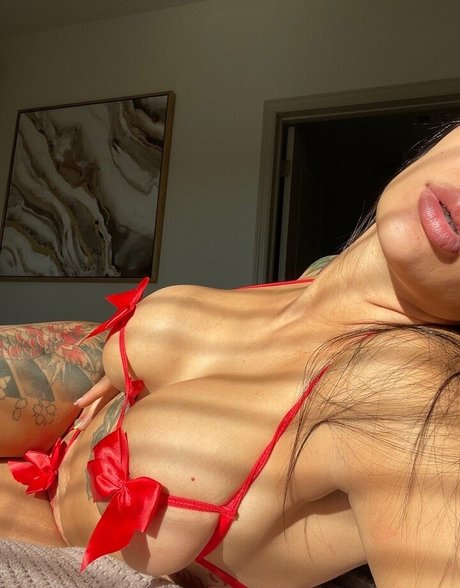 thefanvan onlyfans leake