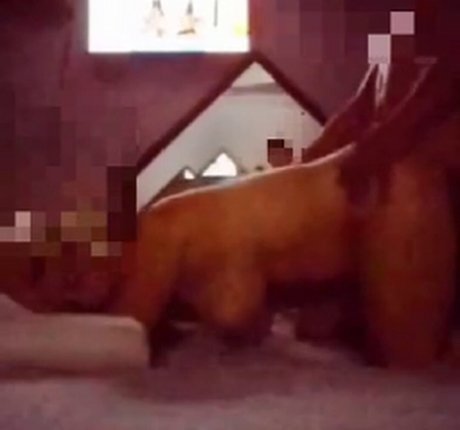 Rainhabruna free only fans