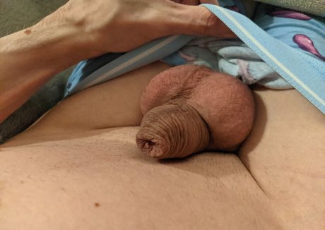 ThatFuckinSquirrel onlyfans mega