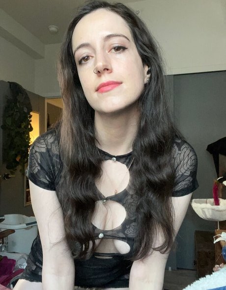 shakicast Profile pic