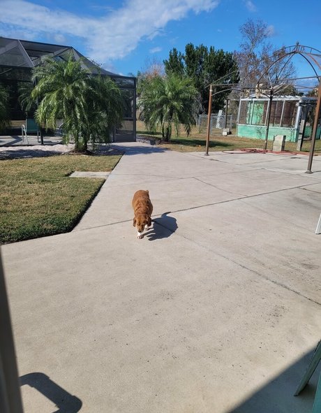 heavenlyterp onlyfans naked leaks