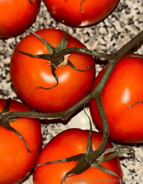 destinydelfina onlyfans joi