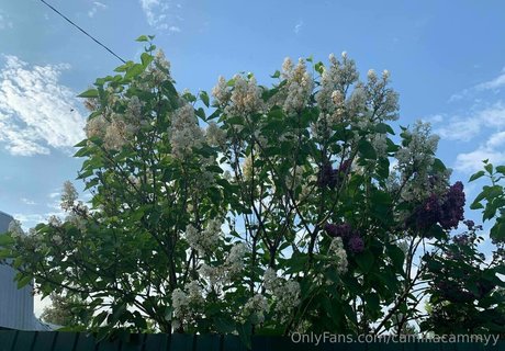 camillacammyy sexy onlyfans