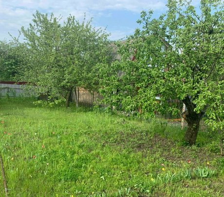 camillacammyy on onlyfans