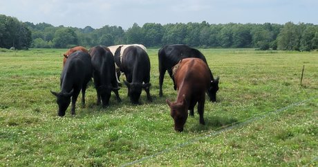 nellebeachgirl nude on onlyfans