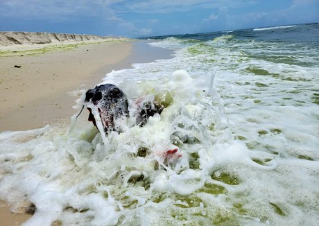 nellebeachgirl naked onlyfans