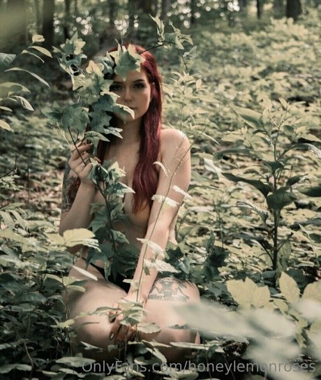 honeylemonroses onlyfans nudes porn