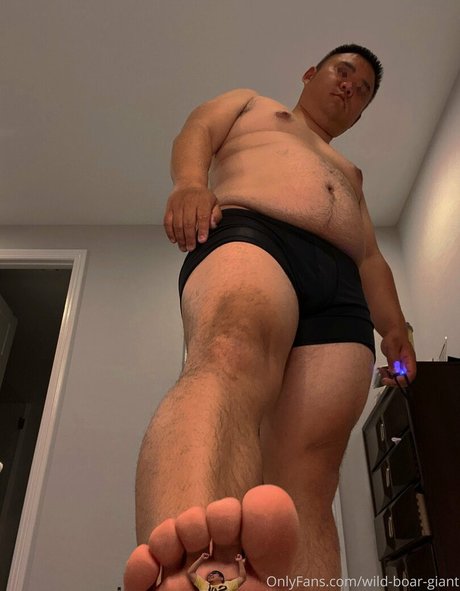 wild boar giant tits onlyfans