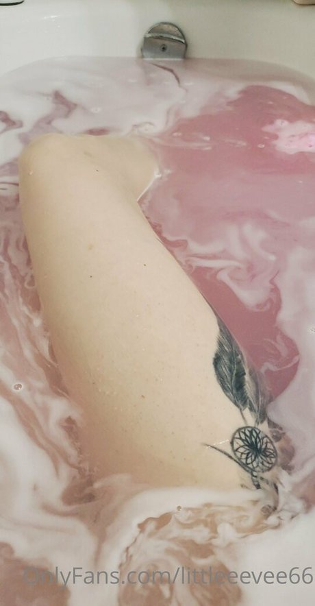 littleeevee66 only fans pic