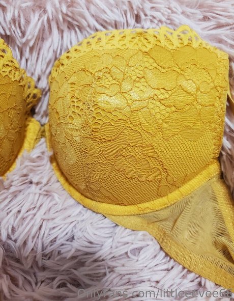 littleeevee66 onlyfans nudes leaks