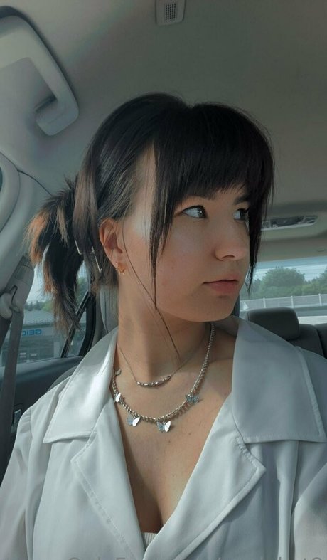 copiekat8 Profile pic