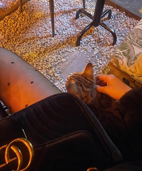 ryydachan leaked porn onlyfans